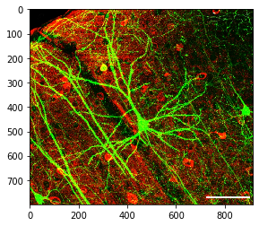 <Figure size 432x288 with 1 Axes>